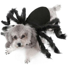 Halloween-Kostüme für Hunde und Katzen: Spinnenkostüme für kleine Hunde und Katzen