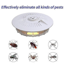 Flohlampe Falle/weißes Repellent