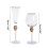 Transparentes Champagnerglas, Champagnerglas, Glasmaterial, Champagnerglas 2