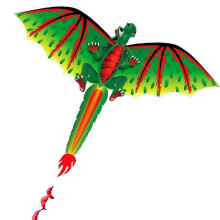 3D Colourful Dragon Single Line Kites with Long Tails Beginner Outdoor