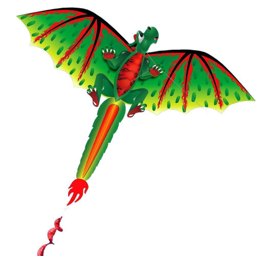 3D Colourful Dragon Single Line Kites with Long Tails Beginner Outdoor