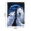 Wolves Latch DIY Rug Making Kit Rug Making Kit Creative for Home Decor 2