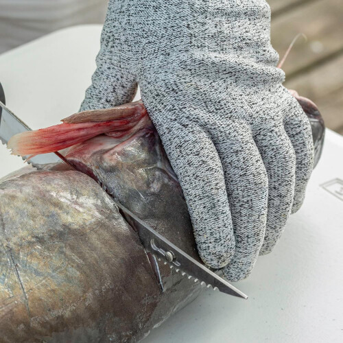 51266 Fillet Gloves 2