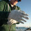51266 Fillet Gloves 5
