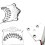 Mandolin Tailpiece 8 String Easy Installation Sturdy for Instrument Pa 3