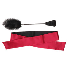 Satin Blindfold  Whip Faux Feather Tickler Set