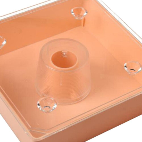 1.6 Litres Bee Water Feeder Multipurpose Sturdy Professional Beekeeper 2