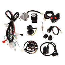 Complete Electrics CDI Coil Wiring Loom Harness Kit for 150cc 250cc AT