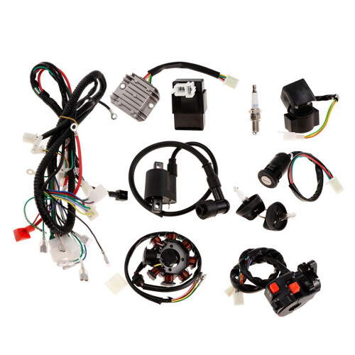 Complete Electrics CDI Coil Wiring Loom Harness Kit for 150cc 250cc AT 2