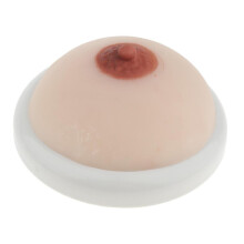 Silicone Breast Model Lactation Teaching Nursing Trainning Education T