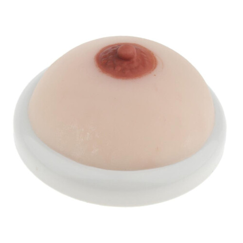 Silicone Breast Model Lactation Teaching Nursing Trainning Education T