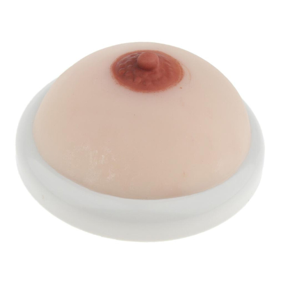 Silicone Breast Model Lactation Teaching Nursing Trainning Education T