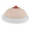 Silicone Breast Model Lactation Teaching Nursing Trainning Education T 2
