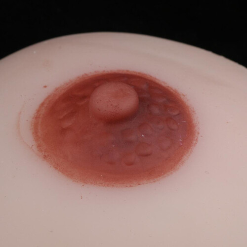 Silicone Breast Model Lactation Teaching Nursing Trainning Education T 2