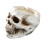 Human Skull Head Design Ashtray Container Creative Home Bar Decor 2