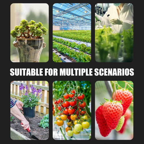 Soil Meter Moisture Temp Sunlight Monitors for Outdoor Plant 2
