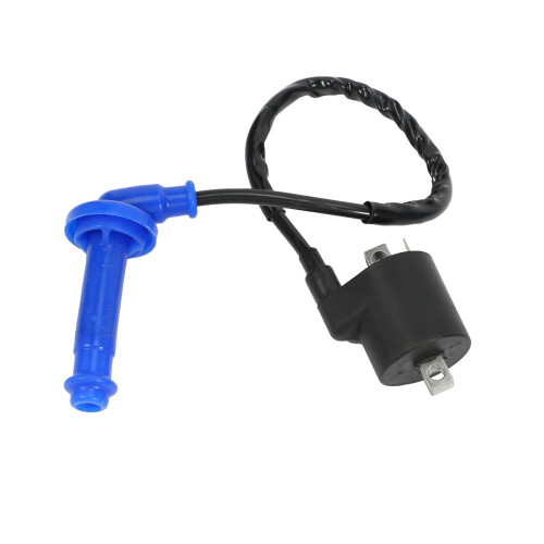 Ignition Coil & Spark Plug for Polaris Predator 500 2003-2007 3088053 2