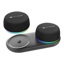 CAANKEI Small Speaker, with Loud HD Sound and Robust Bass ,for Home, Sports Portable Wireless Outdoor Speakers 1 Pair