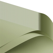 Packung mit 20 dekorativen-Sea Pine Green 26