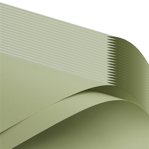 Packung mit 20 dekorativen-Sea Pine Green 26