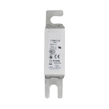 170M1316 170M1315 170M1317 Low Voltage Fast Fuse(170M1317)