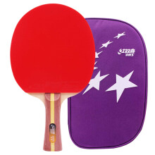 Table Tennis Paddle for Adults and Kids, Sports Table Tennis Bat for Students, Beginners and Amateurs/2 Star/Long Handle