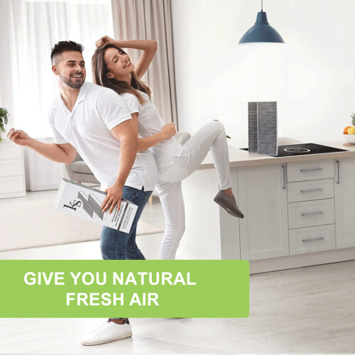 Φίλτρο αέρα καμπίνας HEPA, σύστημα καθαρισμού αέρα ενεργού άνθρακα 5 στρώσεων νέου 1