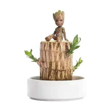 Brazilian Wood Plant Set, Mini Brazilian Lucky Wood Plant Tree with Panda Statue, Brazilian Hydroponic Desktop Decorations for Pots (E)
