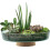 LSA Canopy Glass Planting Bowl Diameter 28cm with Cork Stem 3