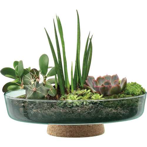 LSA Canopy Glass Planting Bowl Diameter 28cm with Cork Stem 2