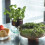 LSA Canopy Glass Planting Bowl Diameter 28cm with Cork Stem 2