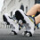 ' and 's Roller Skates with Adjustable Wheels, 37 Ref: 4223 3