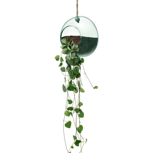 LSA Canopy Recycled 12cm Hanging Planter Clear 2