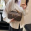 Designer Monogram Makeup Bag, Cosmetic Case with Handle, Brown Pattern, Gold Hardware 4