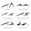 Εύκολη αποθήκευση και μεταφορά, απόλυτη άσκηση κορμού για προπονήσεις ολόκληρου 5