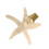 Sea Star/Shell Shaped Pattern Hairpin-Starfish white 1