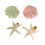 Sea Star/Shell Shaped Pattern Hairpin-Starfish white 2