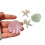 Sea Star/Shell Shaped Pattern Hairpin-Starfish white 3