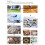 Walk Maker Reusability: Create Exotic Paths With Ease, Concrete Path Maker Designed For Diy Enthusiasts To Customize Their Own Decorative Paths, Pathm 4