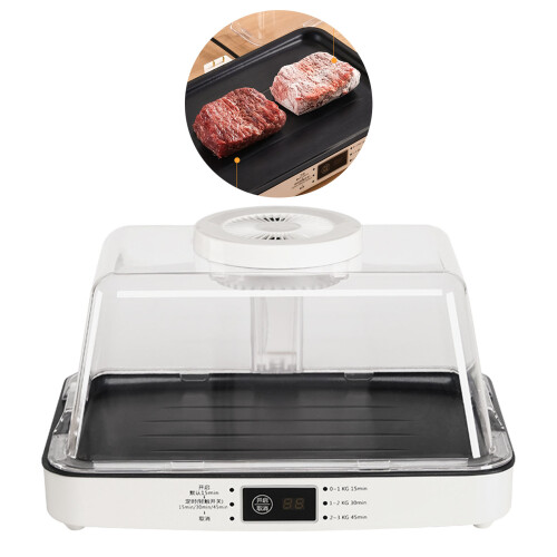 Convenient Defrosting Plate Convenient Fast Steak Meat Unfreeze 1