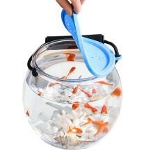 Fisch Transportbehälter, bait box for fishing Transparent breathable portable decoration for children travel outdoor desk