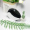 Coffee Filter Holder with Lid Acrylic Coffee Filter Paper 2
