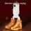Shoe Dryer Intelligent Timer Adjustable Dryer Quick Drying 6