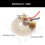 Carbon Brushes Motor Replacement Carbon Brush Holder for Various 3
