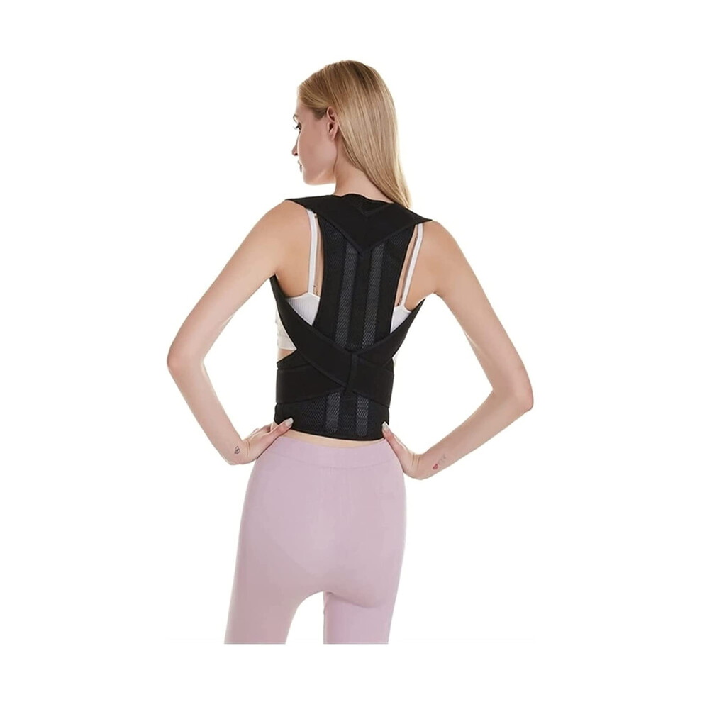 Back Brace Belt Lumbar Support Posture Corrector for Women Men (Large)