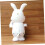 Rabbit WindUp Toy with Clock Movement, Animal Toy Play Set 5