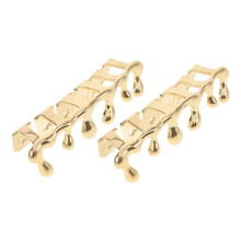 Hiphop Braces Teeth Grill Mouth Grills Copper Golden Pack of 2