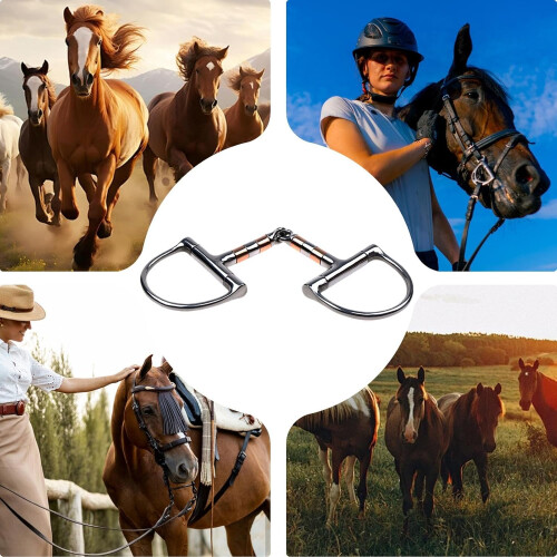 Stainless Steel Horse Snaffle, Copper Mouth Snaffle, DRing Bridle Bit 2