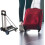 Folding Hand Trolley  
Folding Hand Trolley  
Multipurpose Luggage Trolley 2