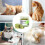 Cat Grass Teeth Stick, Cat Grass Snacks  Kitten Chew Food Biscuits 3